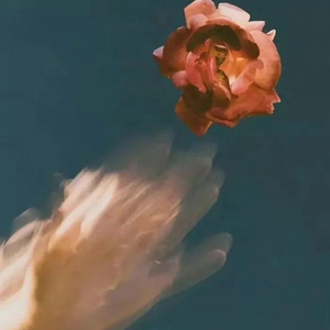 亚洲女ⅤideoSHD黑人
